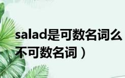 salad是可数名词么（salad是可数名词还是不可数名词）