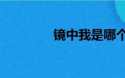 镜中我是哪个我（镜中我）