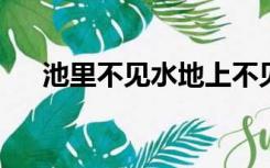 池里不见水地上不见土打一字是什么字