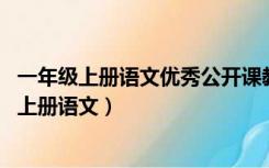 一年级上册语文优秀公开课教案（或者优秀教案 初中一年级上册语文）