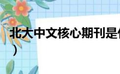 北大中文核心期刊是什么级别（北大中文核心）