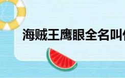 海贼王鹰眼全名叫什么（海贼王鹰眼）