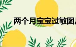 两个月宝宝过敏图片（宝宝过敏图片）