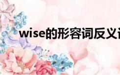 wise的形容词反义词（wise的形容词）