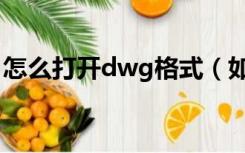 怎么打开dwg格式（如何打开dwg格式文件）