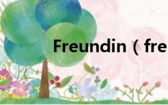 Freundin（freunde什么意思）