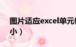 图片适应excel单元格大小（excel单元格大小）