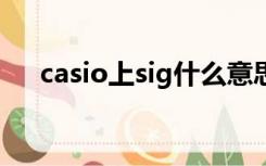 casio上sig什么意思（CaSiO3念什么）