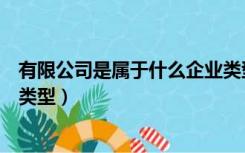 有限公司是属于什么企业类型（有限责任公司属于什么企业类型）