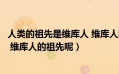 人类的祖先是维库人 维库人的祖先呢（人类的祖先是维库人 维库人的祖先呢）