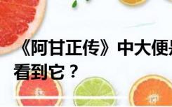 《阿甘正传》中大便是什么意思？为什么我会看到它？