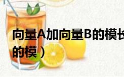 向量A加向量B的模长怎么算（向量a加向量b的模）