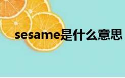 sesame是什么意思（same是什么意思）