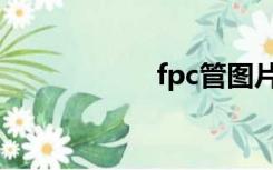 fpc管图片（fpc管）