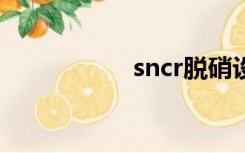 sncr脱硝设备（snc）