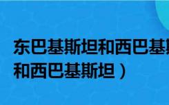 东巴基斯坦和西巴基斯坦的国旗（东巴基斯坦和西巴基斯坦）