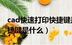 cad快速打印快捷键是什么（cad批量打印快捷键是什么）