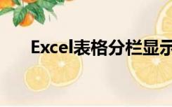 Excel表格分栏显示（excel表格分栏）