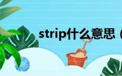 strip什么意思（r i p什么意思）