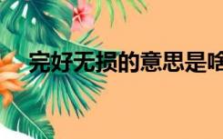 完好无损的意思是啥（完好无损的意思）