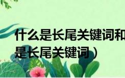 什么是长尾关键词和目标关键词 举例（什么是长尾关键词）