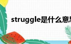 struggle是什么意思（str是什么意思）