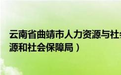 云南省曲靖市人力资源与社会保障局官网（云南曲靖人力资源和社会保障局）