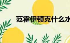 范霍伊顿克什么水平（范霍伊顿克）