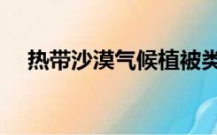 热带沙漠气候植被类型（热带沙漠气候）