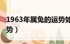 1963年属兔的运势如何（1963年属兔今年运势）