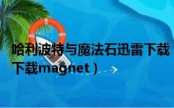 哈利波特与魔法石迅雷下载 1080P（哈利波特与魔法石迅雷下载magnet）