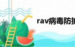 rav病毒防护（ravbin）