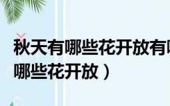 秋天有哪些花开放有哪些果实成熟了（秋天有哪些花开放）