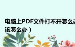 电脑上PDF文件打不开怎么办（我的电脑打不开PDF文件 应该怎么办）