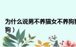 为什么说男不养猫女不养狗狗（为什么都说男不养猫 女不养狗）