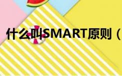 什么叫SMART原则（smart原则什么意思）