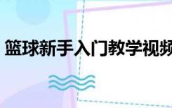 篮球新手入门教学视频（篮球新手入门教学）