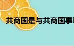 共商国是与共商国事哪个正确（共商国是）