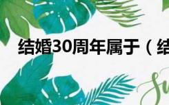 结婚30周年属于（结婚30周年是什么婚）