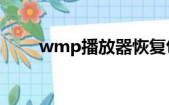 wmp播放器恢复包（wmp播放器）