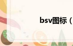 bsv图标（bsci图标）