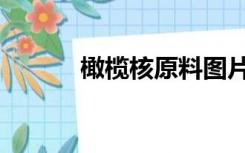 橄榄核原料图片（橄榄核原料）