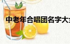 中老年合唱团名字大全（合唱团名字大全）