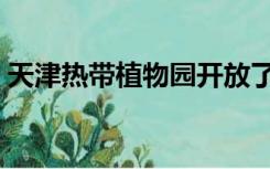 天津热带植物园开放了吗（天津热带植物园）