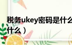 税务ukey密码是什么意思（税务ukey密码是什么）