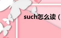 such怎么读（body怎么读）