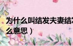 为什么叫结发夫妻结发是什么意思（结发是什么意思）