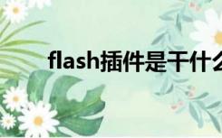 flash插件是干什么用的（flah插件）