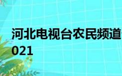 河北电视台农民频道帮大哥直播西王杜家庄2021