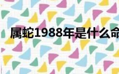 属蛇1988年是什么命（1988年是什么命）